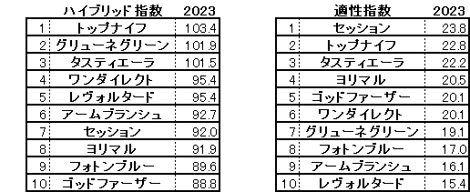 2023　弥生賞　HB指数
